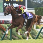 『今日は何の日?(11月10日)』の画像