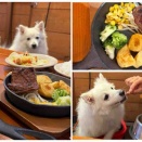 犬同伴可レストラン マーベリックス 大宮宮原ステラタウン店