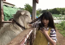 【疑問】与田はあんだけ食ってなんで背が伸びんの？？？