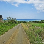 知床と八重山の風景