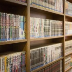 ポリー速報
