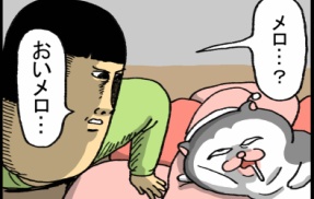 猫には心から熟睡してほしいのにすぐ不安になる