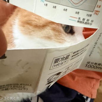 腸活