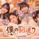 僕の猫達