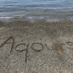 AYTのロボロボとした日常MX