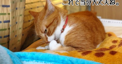 家庭内美人局被害に遭う