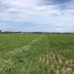 三重県よろずや