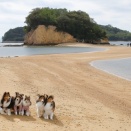 エンゼルロード