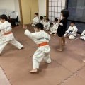７月１１日（土）の稽古日記