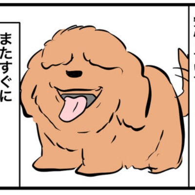 ちーちゃんっ🐾
