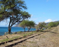 『オアフ島の線路跡 ：by 平井憲太郎』の画像