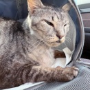 出せ！余分な水分