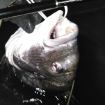 6eowwpdnmjhdfm 6eowwpdnmjhdfm