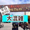 赤レンガでわんさんぽ。