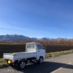 馬とニャンコと男と女