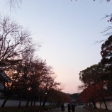 『'2013紅葉狩り🍁【京都・山科】②随心院』の画像