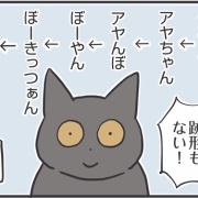 原型がなくなった猫の呼び方