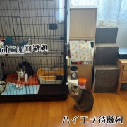 嵐の前にすること。