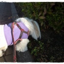 誘われまちたけど💦