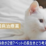 ボルゾイ暮らしトコトコ新聞2026