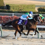 クロミちゃんの競馬日記