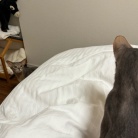 お布団の取り合い