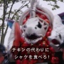 特撮『ドンブラザーズ』のクリスマスツリーにシャケが！！ ルパパトの人気怪人・サモーンの爪痕