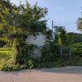 伐採除草作業　国立産業技術総合研究所様