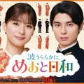 【実況・感想】＜木曜劇場＞波うららかに、めおと日和 第1話