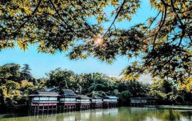 『『２０２２年神秘の京都ありがとう！写真集』』の画像
