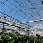 名古屋市 北区 ペットショップ ワンラブ NEWクロスタウン店ブログ