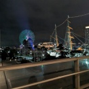 来年こそは！ブログ更新増やしたい