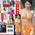 【グラビアアイドル】【巨乳】小池栄子 with･･･