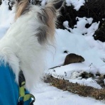 .•*.•*beny beny*•.*•.