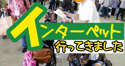 今年も行ったぜインターペット。