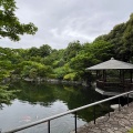 6月10日のお稽古ー桑小卓の点前