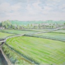 淡河本陣の田園