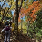 あだると山の会