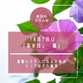 Epi.257Ũʥޥˤʤ뤿ΤȤäƤ١87ϡֲ֤ס餷˺餯䤿β֡