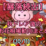 『【暴落続出】秋ドレア後のお花相場動向まとめ(10/11)』の画像