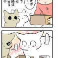 小箱と猫とチャレンジ精神