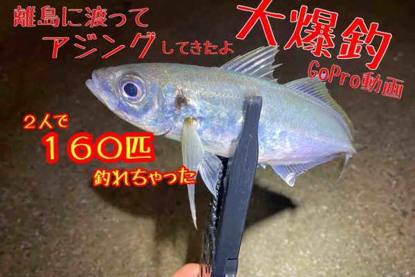 70以上 アジング 岡山 アジング 岡山 19