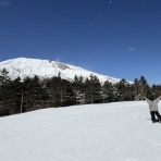 やさしんぼのブログ