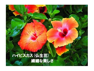 暦‐2026年8月12日
