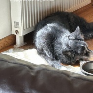 【掃除】合間をぬって大急ぎ！あとはふっかふかにしっとりの質感に大満足♪♪