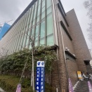 桜雨ふりつづき