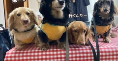 三連休最終日。