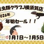 爬虫類クラブJ 横須賀店ブログ