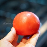 ブレンダー使用！フレッシュトマトで中華風ドレッシング