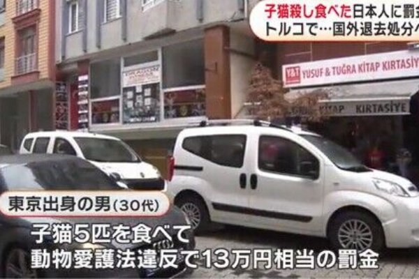 衝撃 信じれんわ トルコで子猫殺し食べた日本人の男に罰金 国外退去処分 もくもくトレンド速まとめ